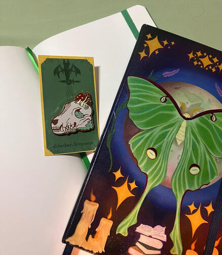 Notebooks and pins